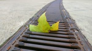 Dead leaf